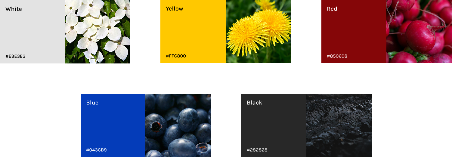 Describe your project